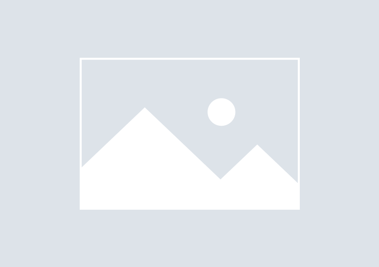 Brand Strategy & Consulting
