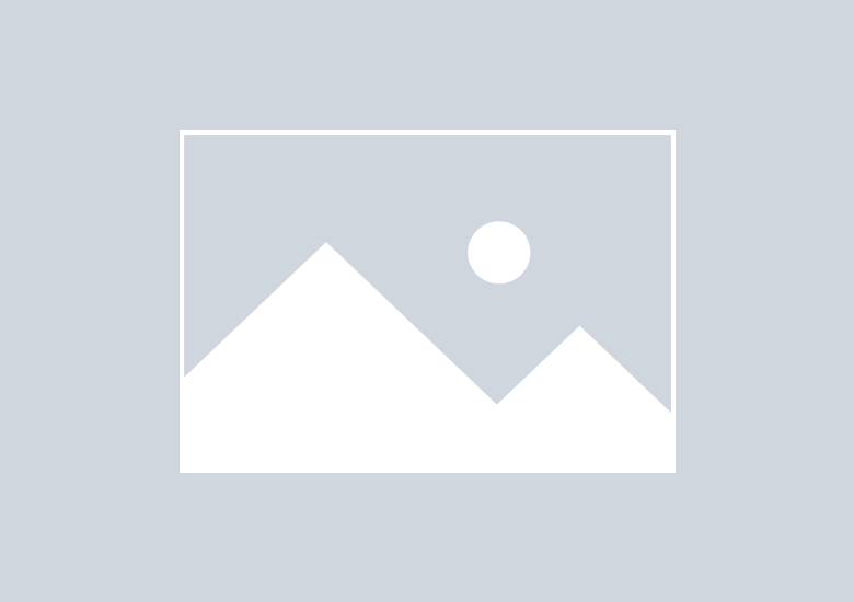 Brand Strategy & Consulting
